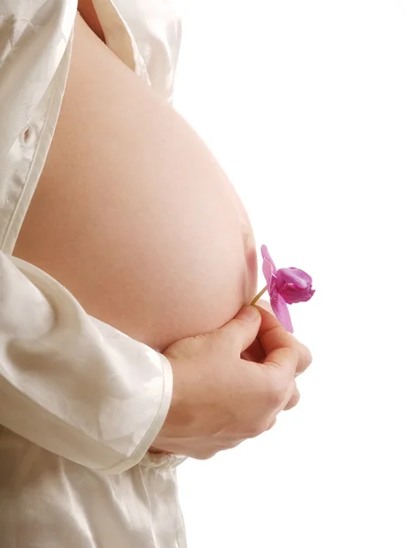 Pregnant woman — Stock Photo, Image