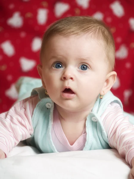 Studio portrait six month old baby — Stock Photo, Image