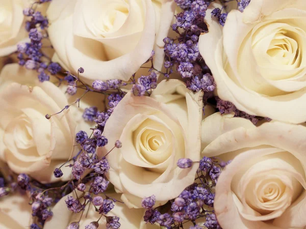 Bouquet da sposa — Foto Stock