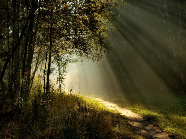 Hellingen van de zon. — Stockfoto