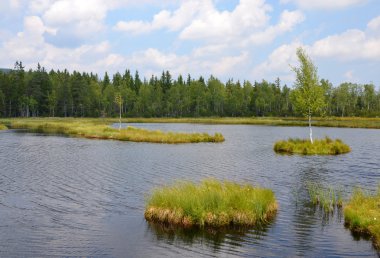 Eğitim iz chalupska çıta