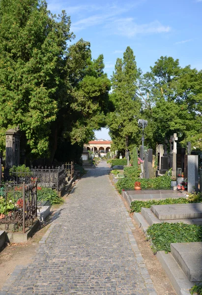 Cmentarz Vysehrad — Zdjęcie stockowe