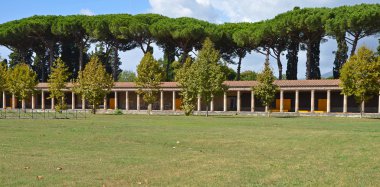 büyük palaestra görünümünü
