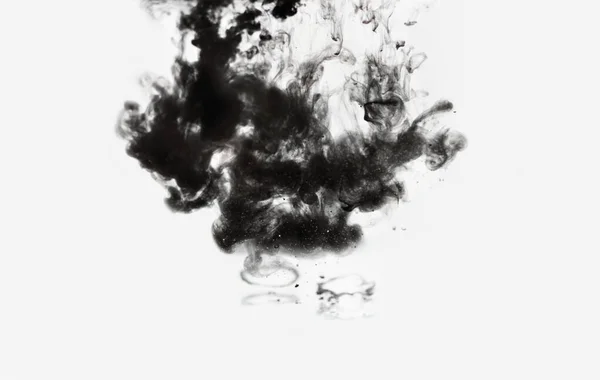 黑色墨水滴在白色背景的水中 免版税图库照片
