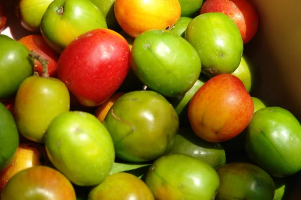 Ciruelas en el mercado — Foto de Stock