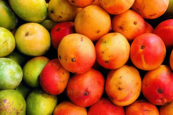 Mango — Stok fotoğraf