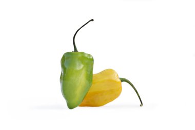 Habanero biber yucatan dan