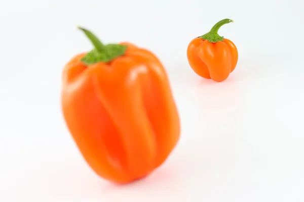 Orangen Paprika — Stockfoto