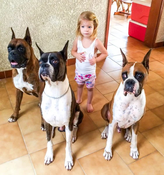 çocuk ve onun köpekleri
