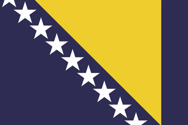 Illustrated Drawing of the flag of Bosnia — Stock Photo, Image