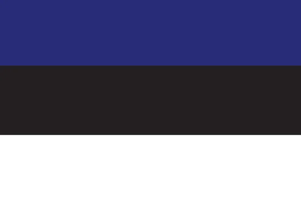 Illustrated Drawing of the flag of Estonia — Stock Photo, Image