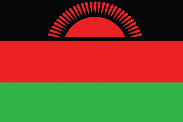 Ilustrované výkres vlajka malawi — Stock fotografie