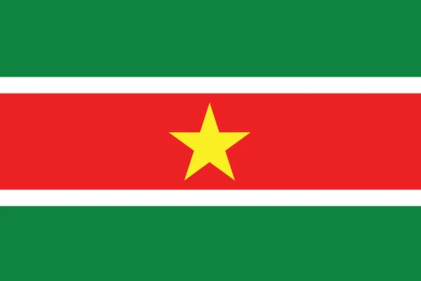 Disegno illustrato della bandiera del Suriname — Foto Stock