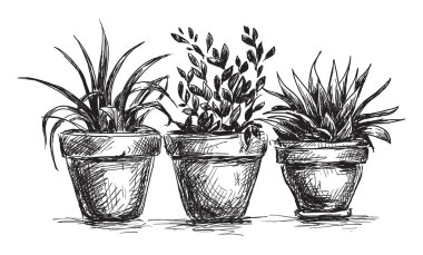 Flower pots clipart