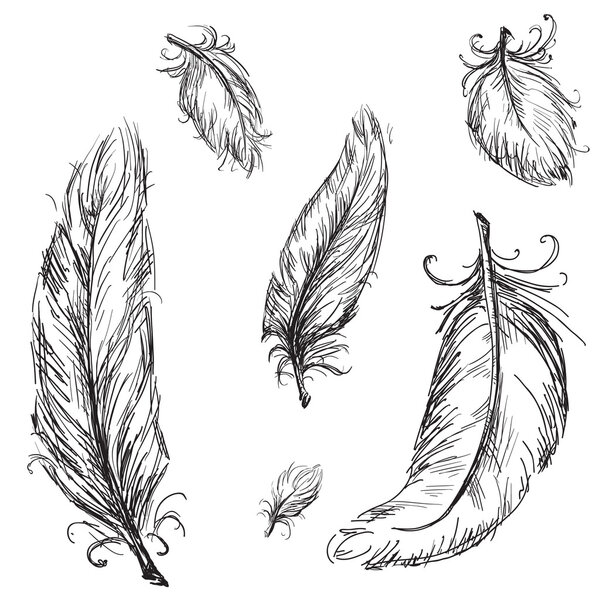 Vector feathers