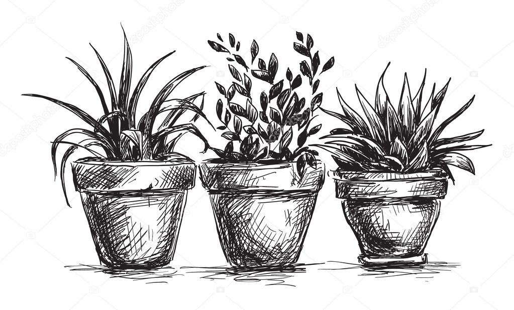 Flower pots