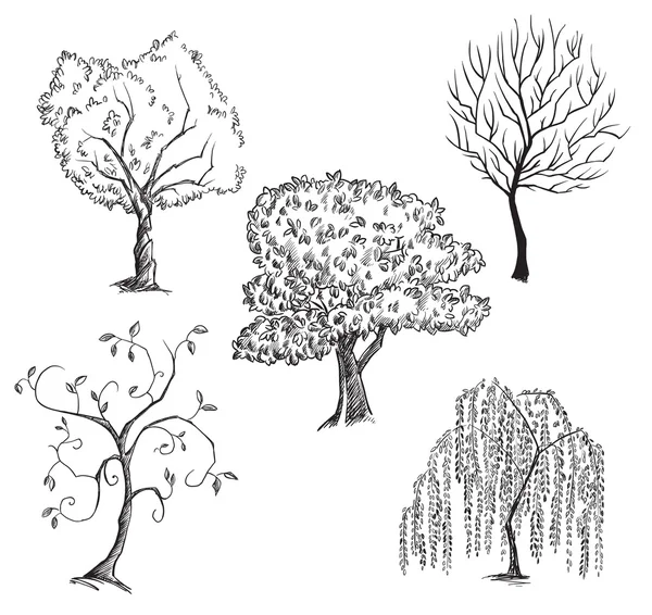 Colección de árboles vectoriales — Archivo Imágenes Vectoriales
