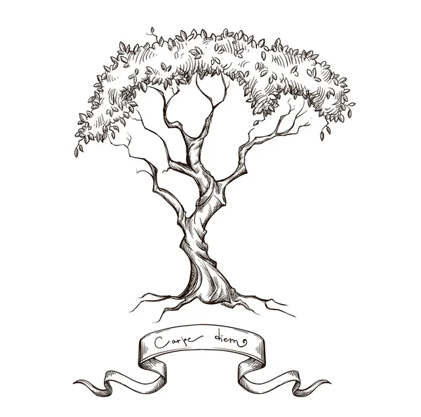 Árbol viejo con banner de cinta dibujado a mano — Vector de stock