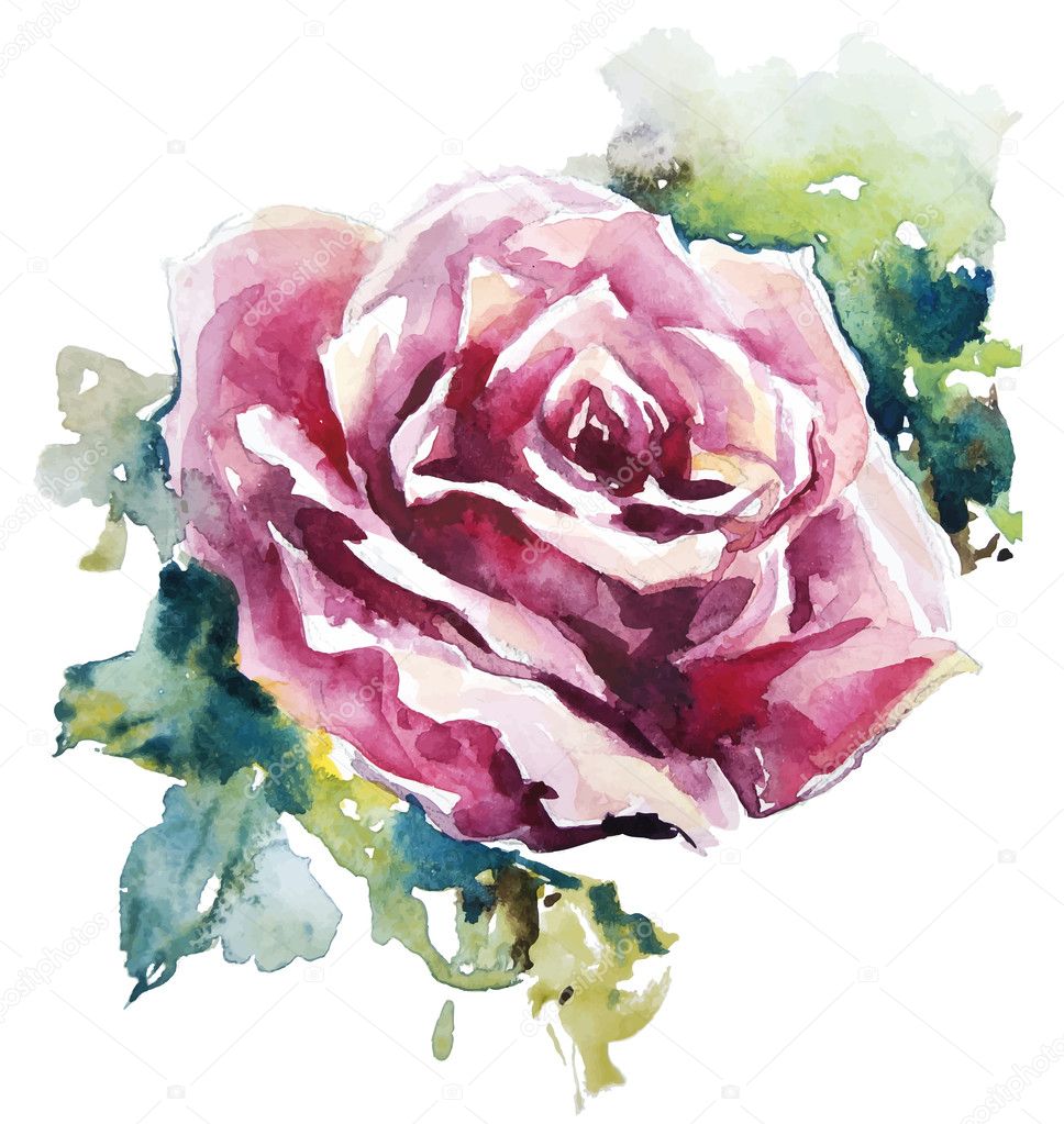 Watercolor rose. Flower painting. Vector EPS 10.