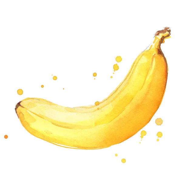 Ripe Yellow Banana Watercolor Ilustration — Stock Vector