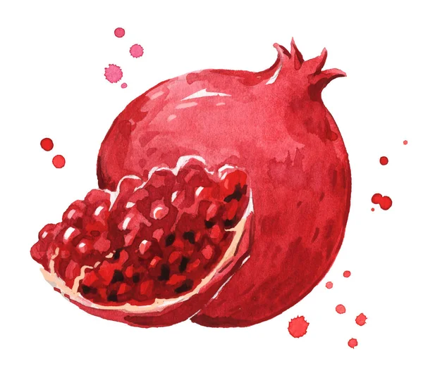 Fresh Ripe Pomegranate Watercolor Illustration — Stock Vector