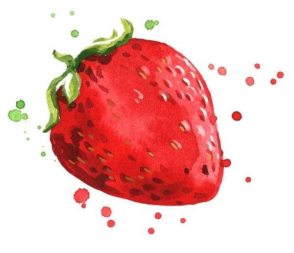 Fresh Ripe Red Strawberry Watercolor Illustration — Stock Vector