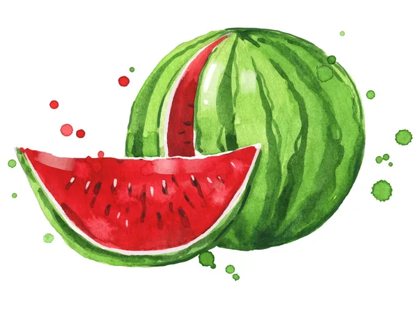 Fresh Ripe Watermelon Watercolor Illustration — Stock Vector