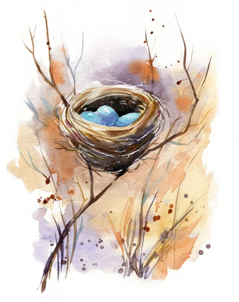Çalılıklarda Saklı Mavi Yumurtaları Olan Bir Kuş Yuvasının Suluboya Çizimi — Stok fotoğraf