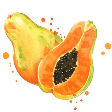Tatlı sulu suluboya papaya elle boyanmış