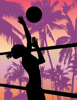 Pasifik Okyanusu plajı voleybol sanatı