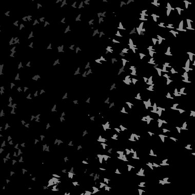 siyah arkaplan kuşları yaşam vektör sanatı