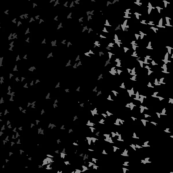 Negro fondo aves vida vector arte — Vector de stock