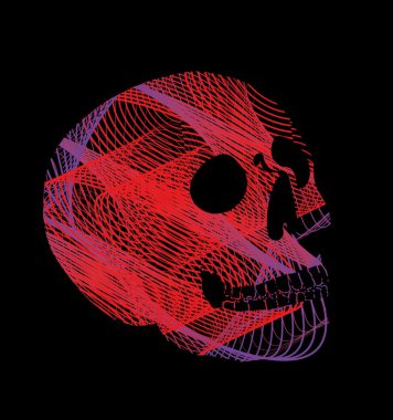 dövme kabilesi Meksika kafatası vektör sanatı