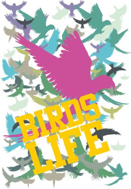 dövmeli kabile kuşları vektör sanatı