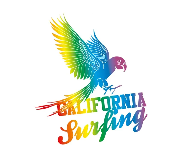 Summer birds parrot surf beach vector art — Stock Vector