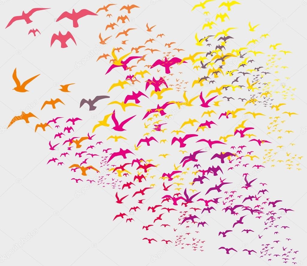 Birds silhouette sets vector art