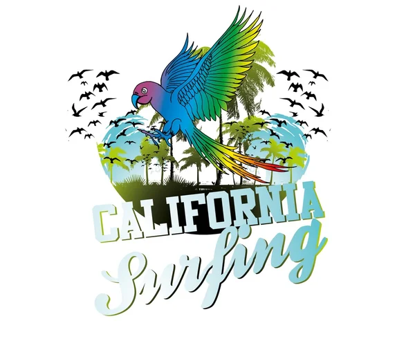 Surf beach vektör sanat yaz kuş papağan — Stok Vektör