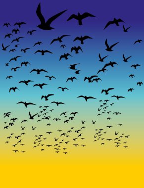siyah arkaplan kuşları yaşam vektör sanatı