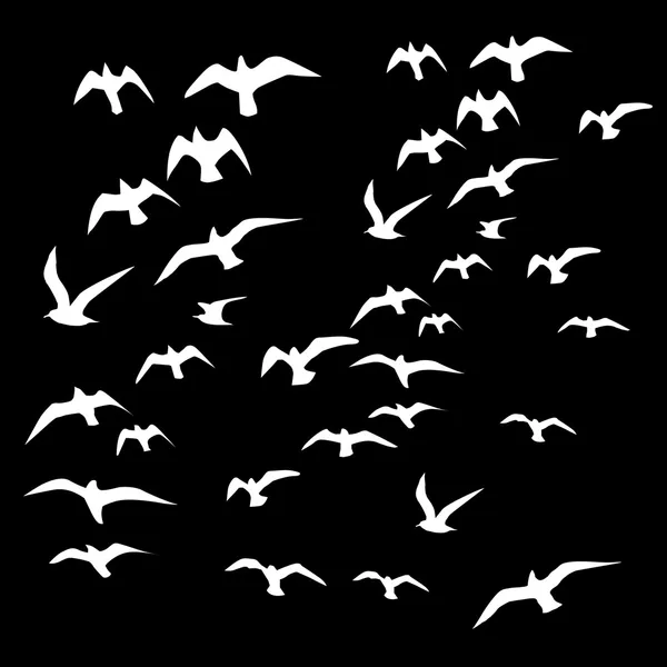 Black background birds life vector art — Stock Vector