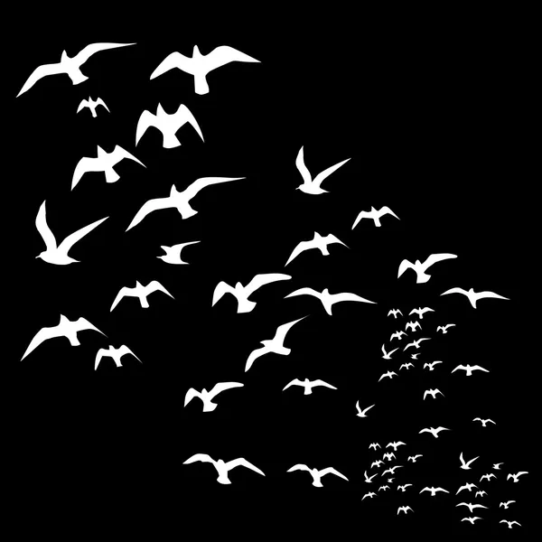 Noir fond oiseaux vie vecteur art — Image vectorielle