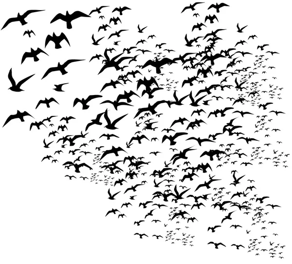 Negro fondo aves vida vector arte — Vector de stock