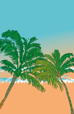 Pasifik sörfçü vektör grafik tasarım