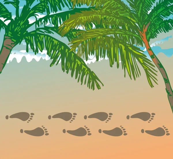 太平洋冲浪矢量图形设计 — 图库矢量图片