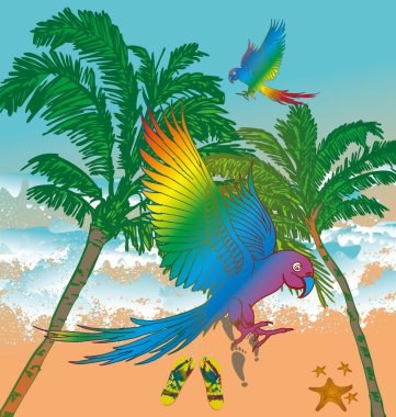 Pasifik sörfçü vektör grafik tasarım