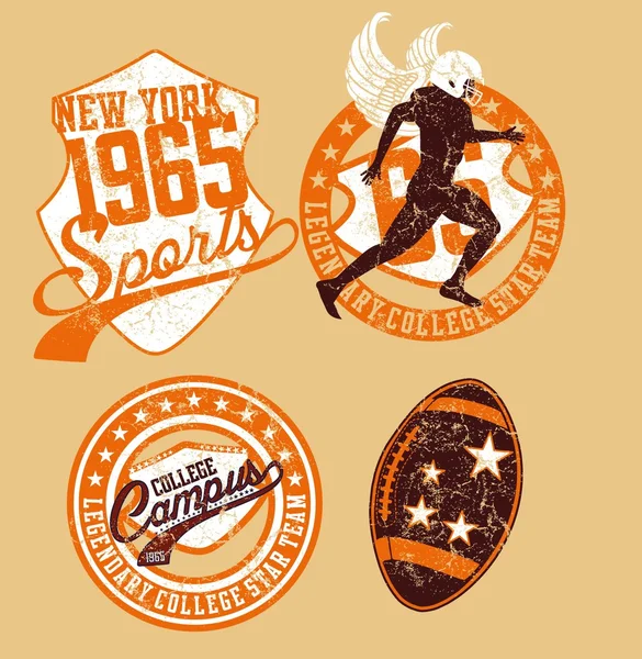 Amerikan Koleji Spor Sanatı