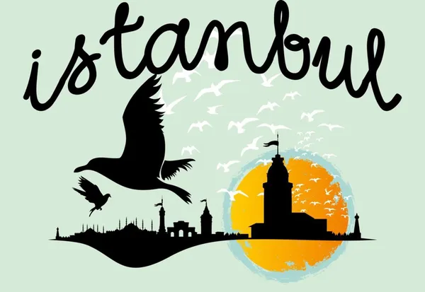 İstanbul büyük şehir vektör sanatı — Stok Vektör