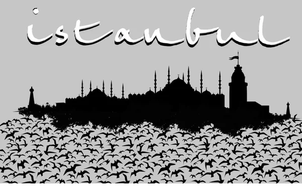 Istanbul big city vector art — Stock Vector