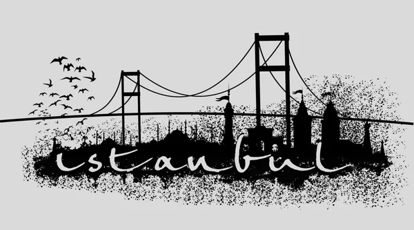 Istanbul big city vector art — Stock Vector