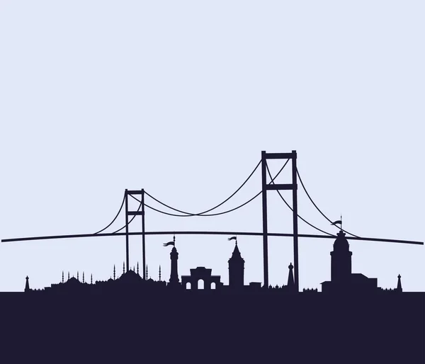 Istanbul big city vector art — Stock Vector