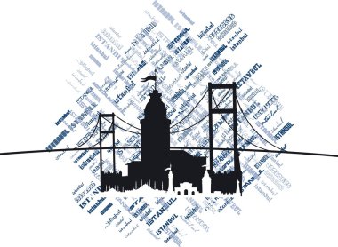 Istanbul big city vector art clipart